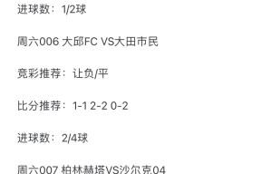 拜仁慕尼黑内部会议纪要流出——国际比赛日刷新队史纪录,葡超使命明确,资深球员宣示担当的简单介绍