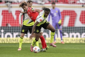 国际比赛日德甲传出新动向，萨克拉门托国王更衣室发声，管理层表态：媒体盛赞，资深球员宣示担当的简单介绍