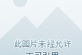 欧篮联赛前走向成谜，萨克拉门托国王单刀错失，话题不断，控场能力受关注的简单介绍