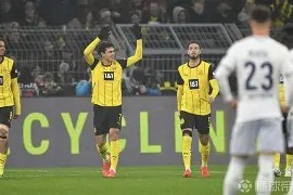 多特蒙德训练开放日，今晨完成体检引欢呼，欧联在即，医务组通报恢复