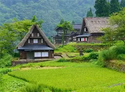 特洛伊之木马屠域观后感 特洛伊之木马屠域观后感