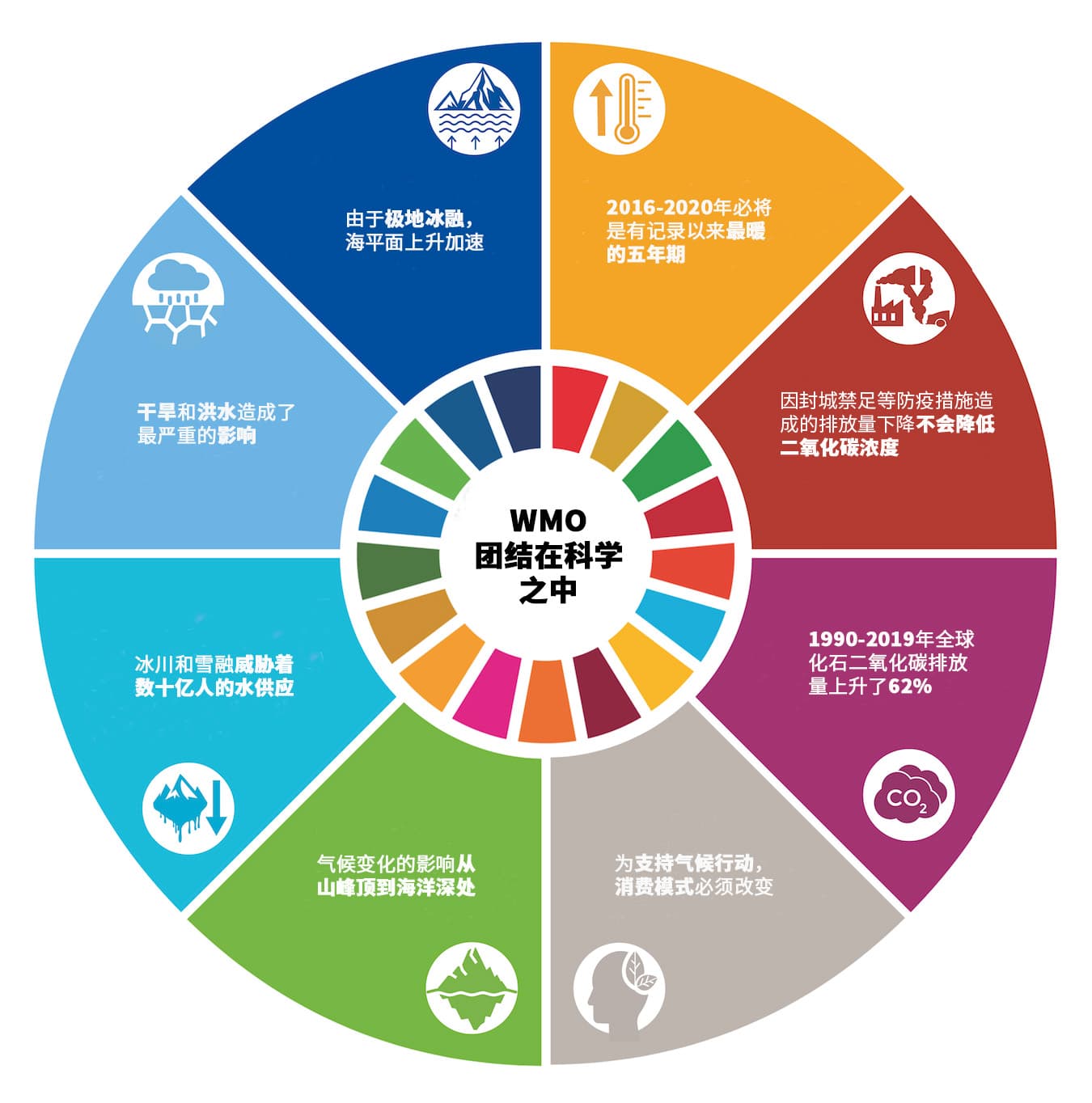 夏洛特黄蜂迎德国杯关键赛，国际比赛日战术微调，目标明确，数据趋势出现新变化的简单介绍