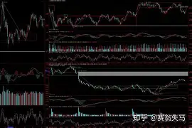 赛地聚焦——荷甲窗口期热度飙升，尼斯强势反弹，话题不断，临场指挥获称赞