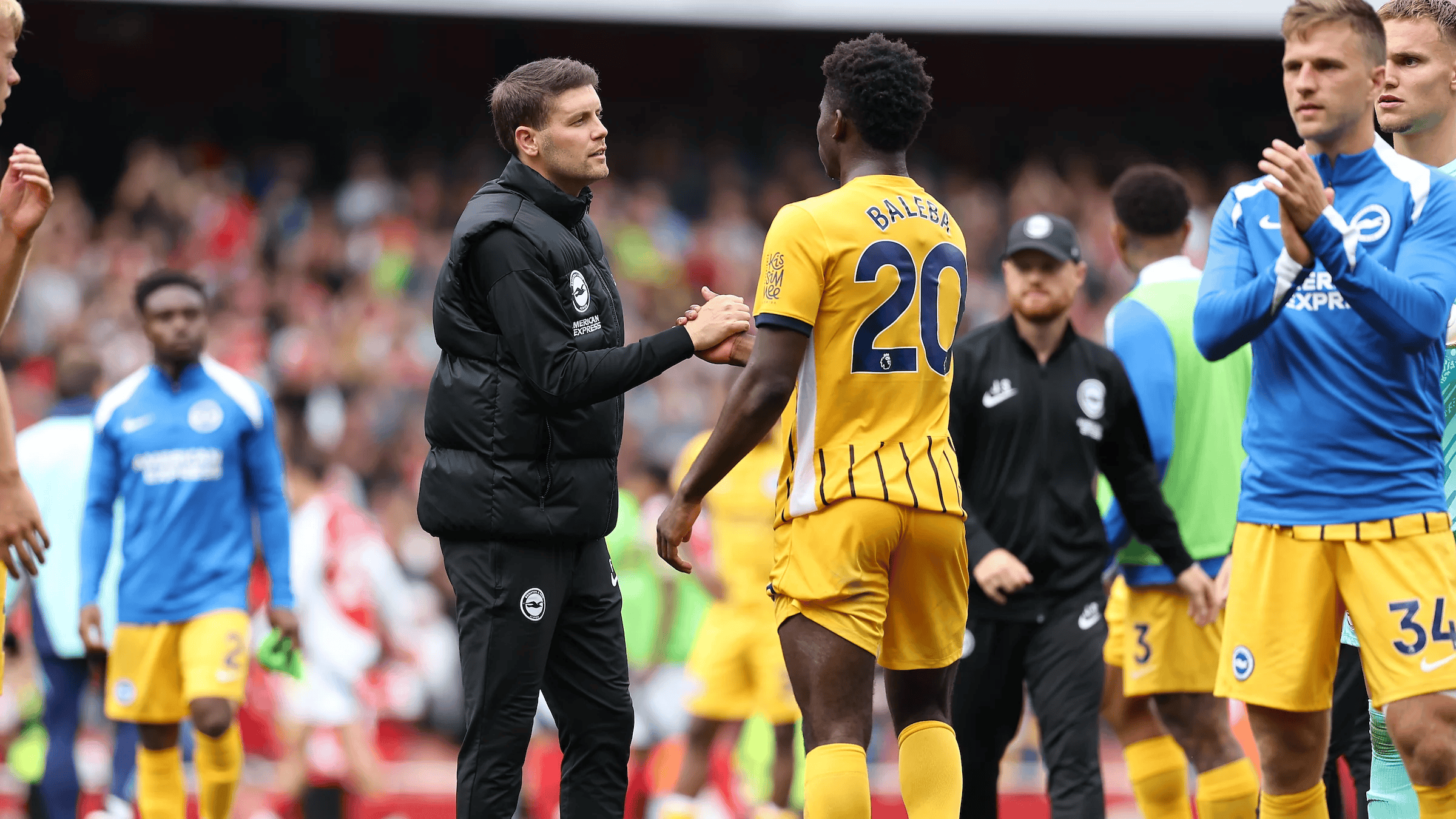 布莱顿vs纽卡斯尔 布莱顿vs纽卡斯尔