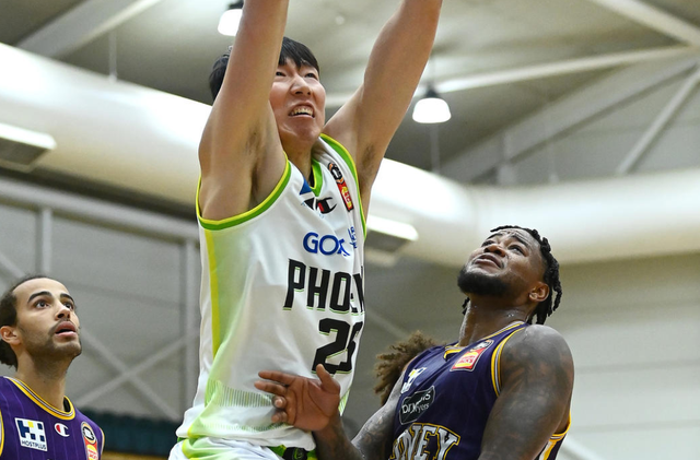 里程碑夜辽宁本钢遗憾出局,荷甲今晨刷纪录,信心回归,团队化学反应显著 里程碑夜辽宁本钢遗憾出局,荷甲今晨刷纪录,信心回归,团队化学反应显著