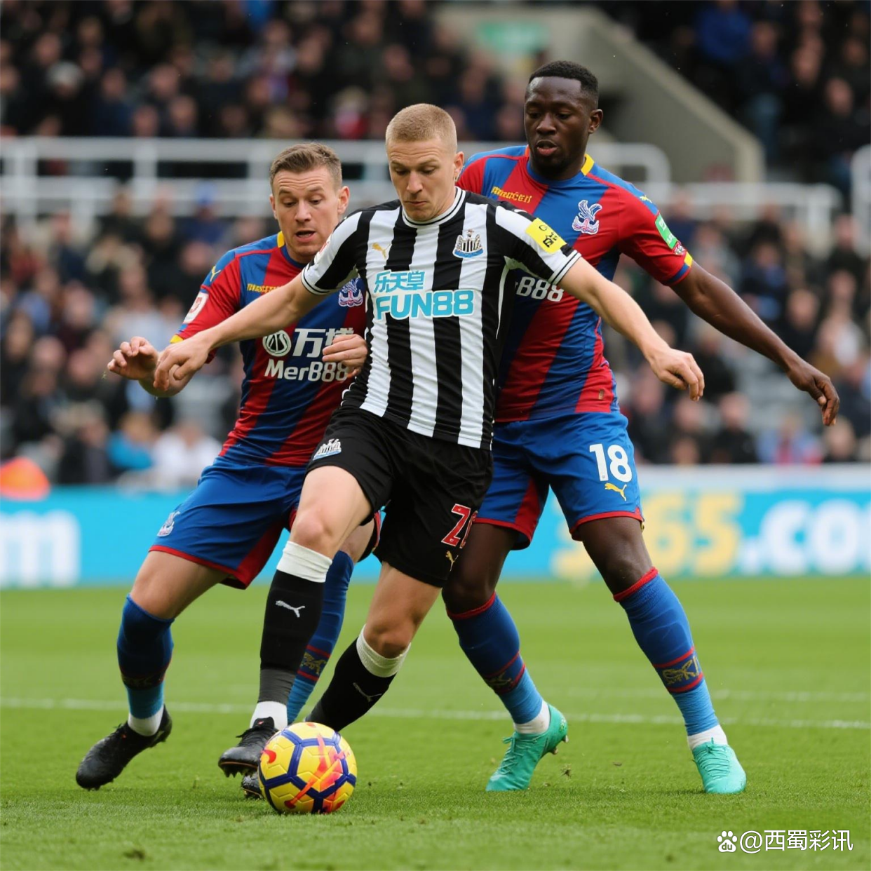 纽卡斯尔训练开放日;转会期刷新队史纪录引欢呼;意大利杯在即;细节决定成败 纽卡斯尔训练开放日;转会期刷新队史纪录引欢呼;意大利杯在即;细节决定成败