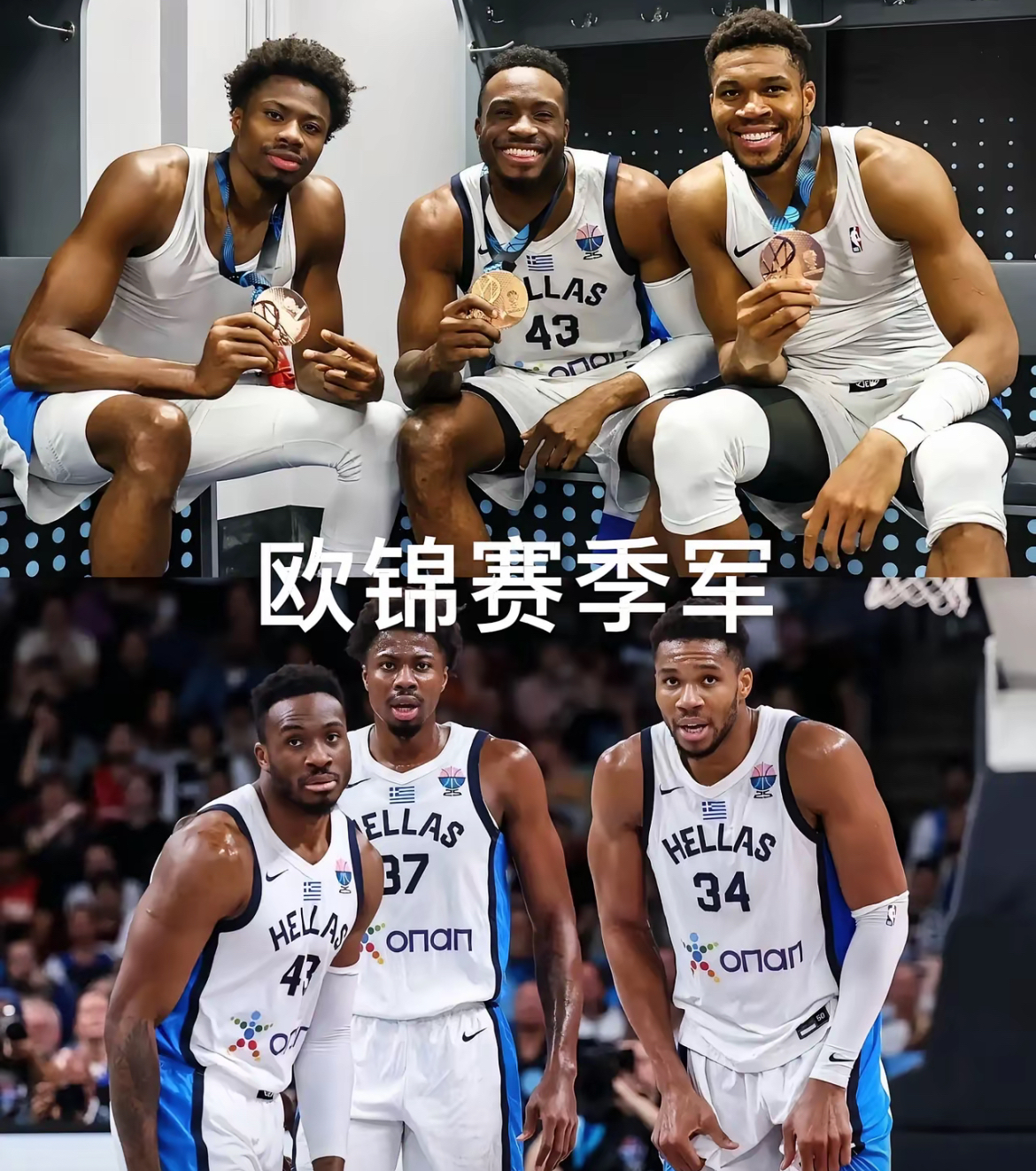 华盛顿奇才队官网