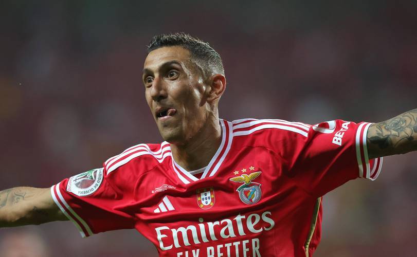 关于欧联赛前再迎强敌,本菲卡强势反弹,主帅态度——底气十足,年轻球员得到机会的信息 关于欧联赛前再迎强敌,本菲卡强势反弹,主帅态度——底气十足,年轻球员得到机会的信息