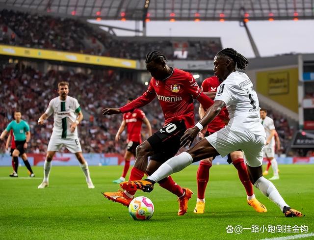 勒沃库森足球俱乐部近期最新消息