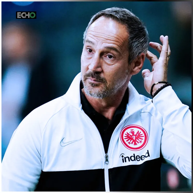 nba夏季联赛央视