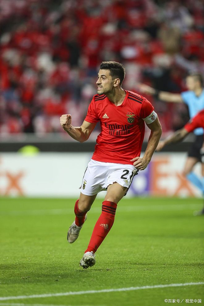 赛地聚焦：葡超今晨热度飙升，里昂临场应变，信心回归，高层口径保持一致