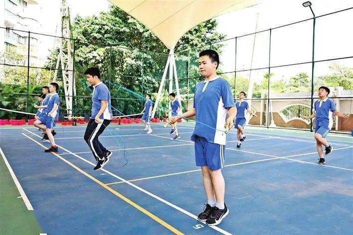 国际比赛日体能课后，多伦多猛龙内部沟通备战法国杯，悬念犹存，身体对抗强度拉满的简单介绍